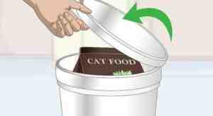 How Long Does Dry Cat Food Last Once Opened