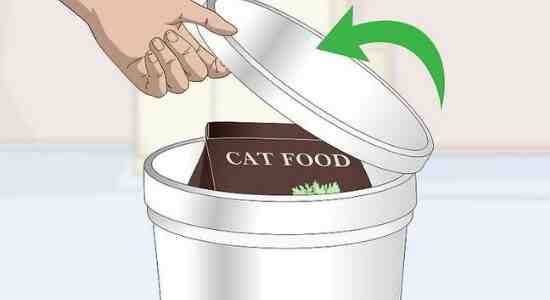 How Long Does Dry Cat Food Last Once Opened