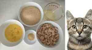 Recipe For Dry Cat Food