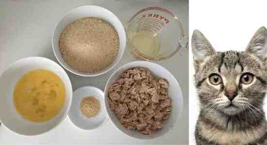 Special Recipe For Dry Cat Food