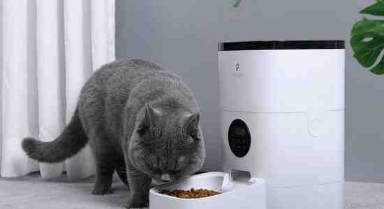 Automatic pet feeder