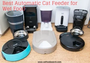 Best Automatic Cat Feeder for Wet Food