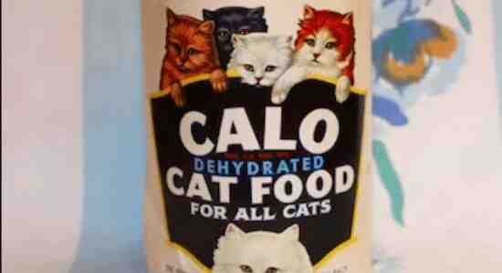 Calo cat food