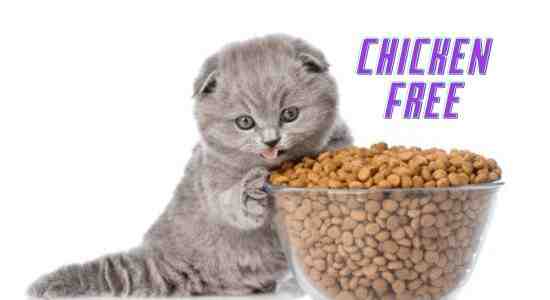 Dry Cat Food Without Chicken