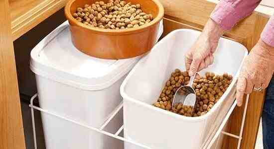 Safely Store Dry Cat Food