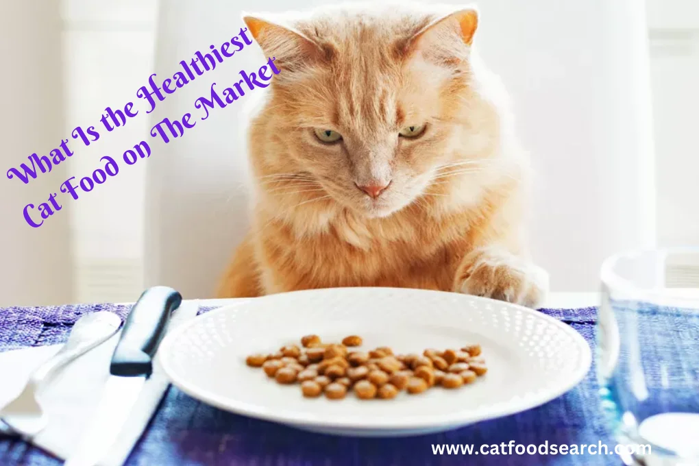 What Is the Healthiest Cat Food on The Market
