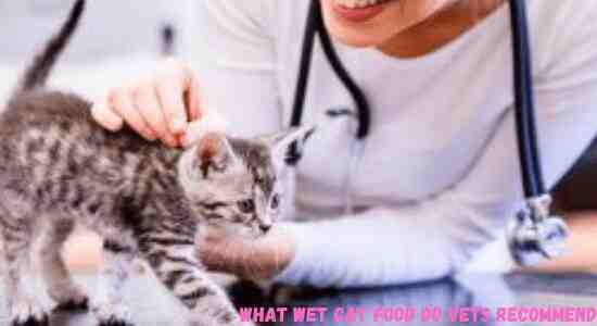 What wet cat food do vets recommend