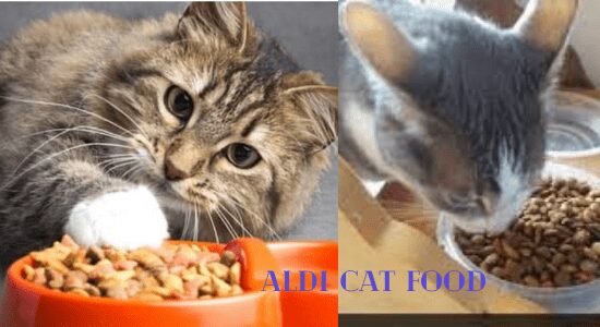 Who Makes Aldi Cat Food