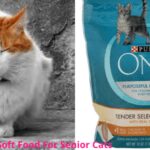 Best Soft Food For Senior Cats