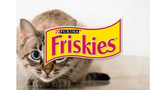 Friskies good for cats