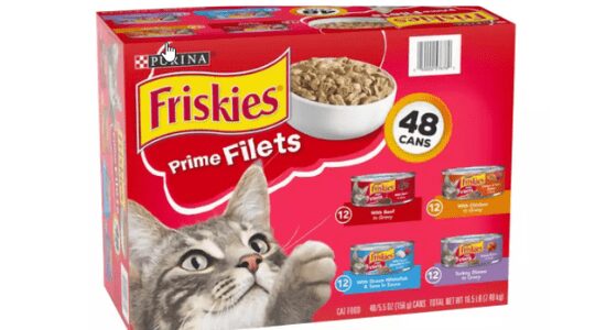 How Bad Is Friskies Cat Food