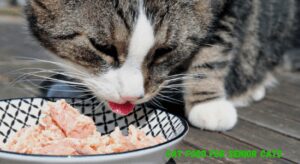 How to make cat food for senior cats