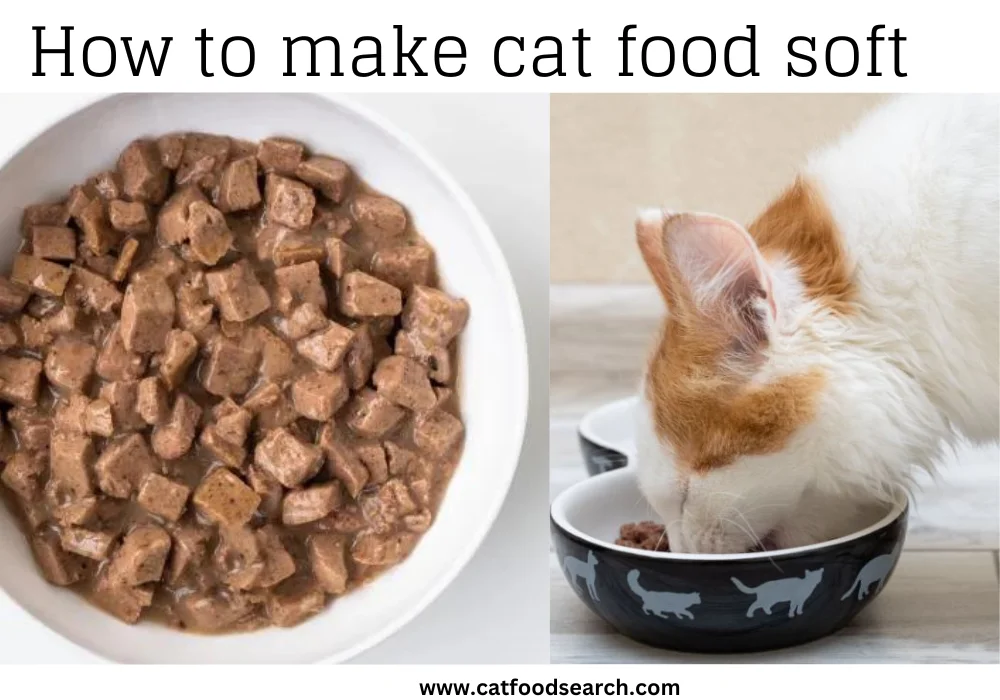 How to make cat food soft
