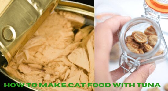 How to make cat food with tuna