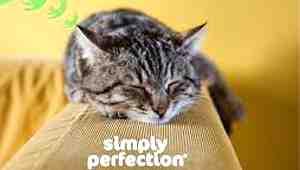 Simply Perfection Cat Food