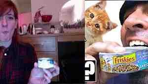 What Does Cat Food Taste Like