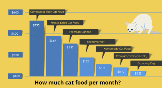 how much cat food per month