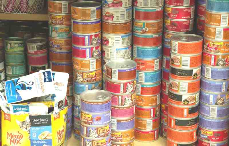 How Long Does Cat Food Last? Best Analysis Perfect Cat Food