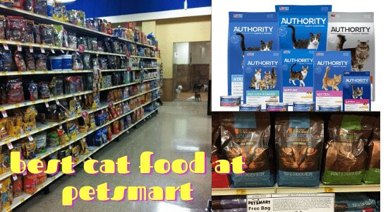 what is the best cat food at petsmart