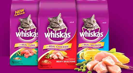 Best Whiskas Dry Food