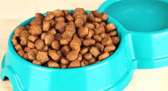 How Much Dry Cat Food Per Month
