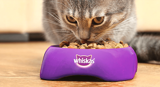 How To Prepare Whiskas Dry Cat Food