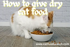 How to give dry cat food