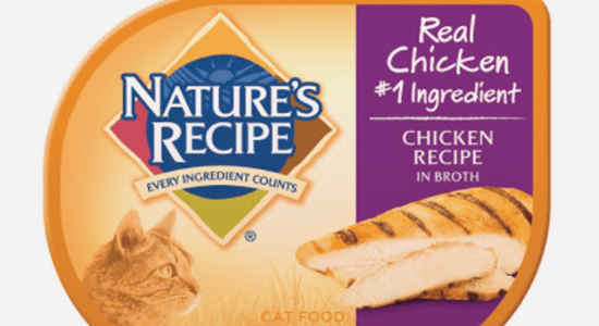 Nature's Recipe Dry Cat Food