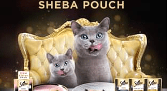 Pouches Sheba