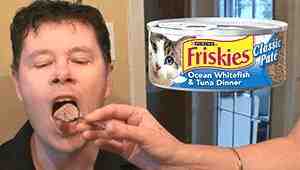 What Happens If You Eat Cat Food