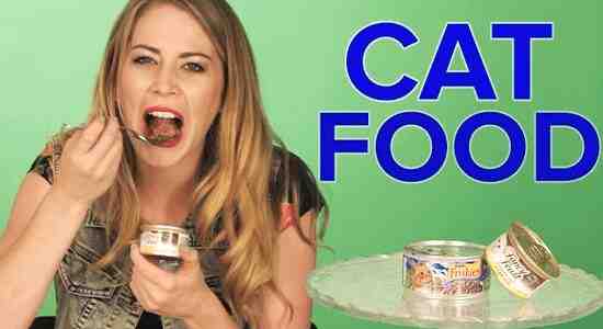 What Happens If You Eat Cat Food