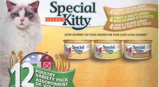 special kitty wet food