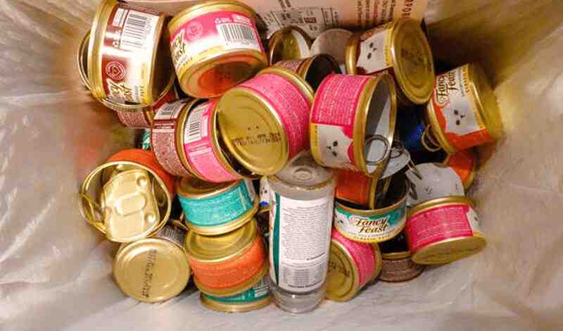 Can I Recycle My Cat Food Cans