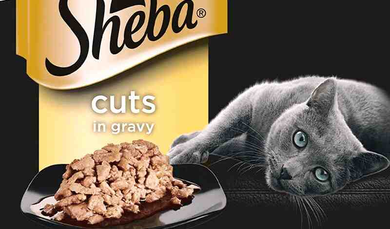 Is Sheba Cat Food Safe For Cats