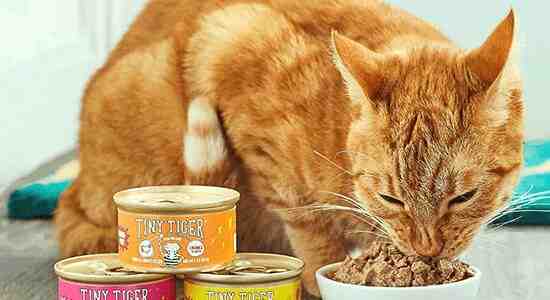 Make Tiny Tiger Cat Food