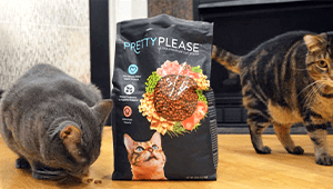Pretty Please Cat Food