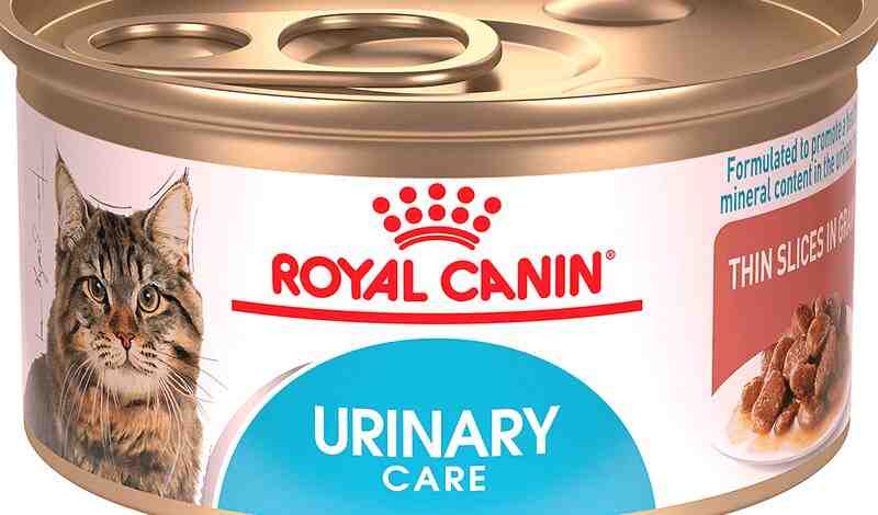 Royal Canin Urinary Tract Health