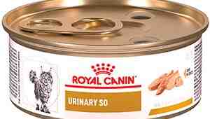 Royal Canin Veterinary Diet Urinary Feline Cat Treats