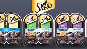 Sheba Cat Food Making Cat Sick