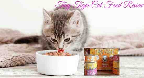 Tiny Tiger Cat Food Review