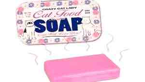 Cat Food Scented Soap