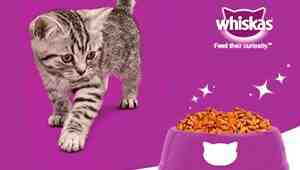 How To Feed Whiskas Cat Food