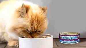 Natural Balance Indoor Ultra Cat Food