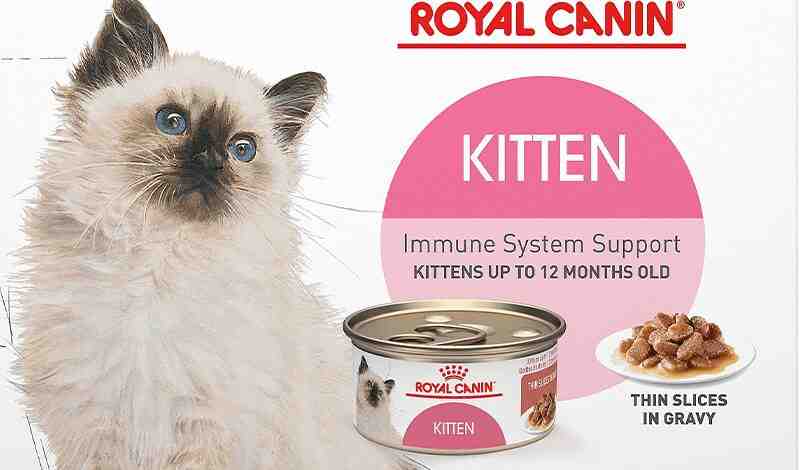 Royal Canin Birman Cat Food