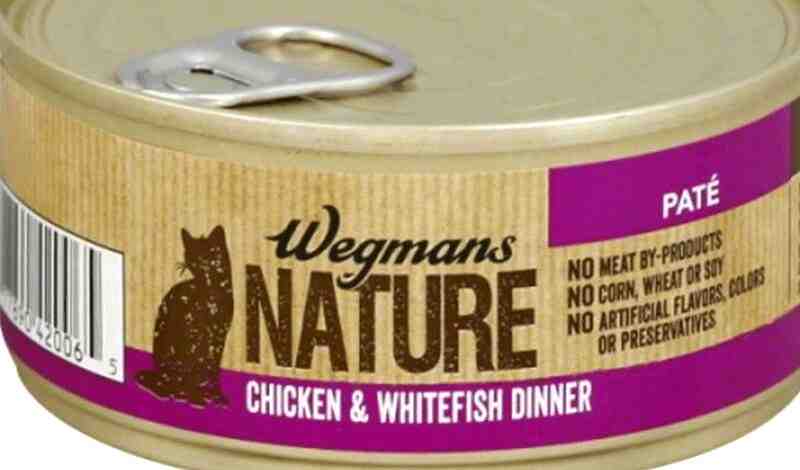 Wegman Nature Cat
