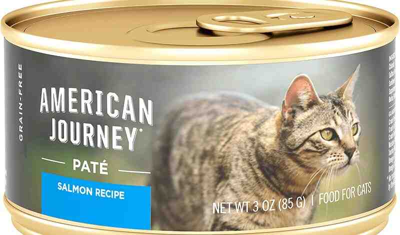American Journey Wet Cat Food