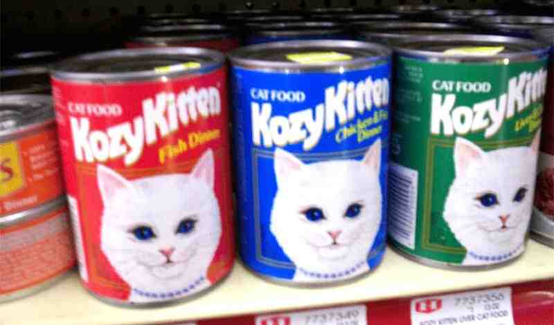 Kozy Kitten Cat Food