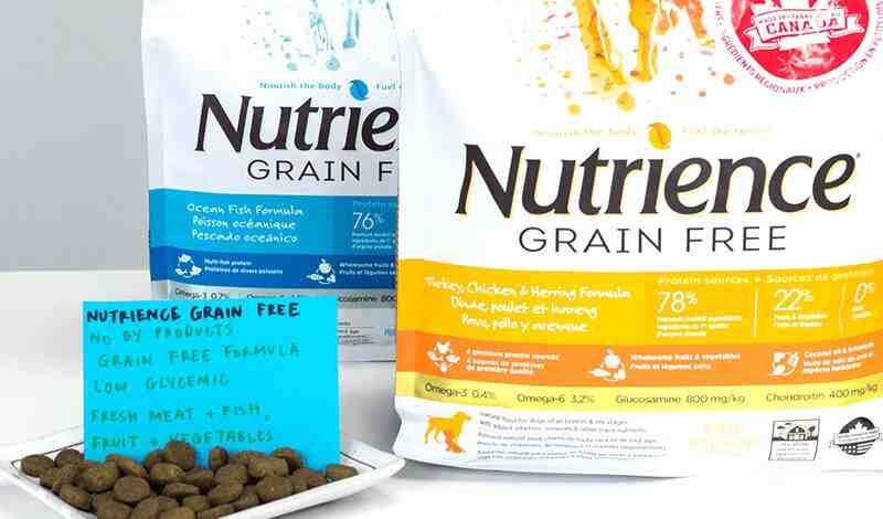 Nutrience Cat Food Review
