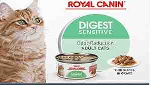 Royal Canin Feline Digestive Care Dry Cat Food