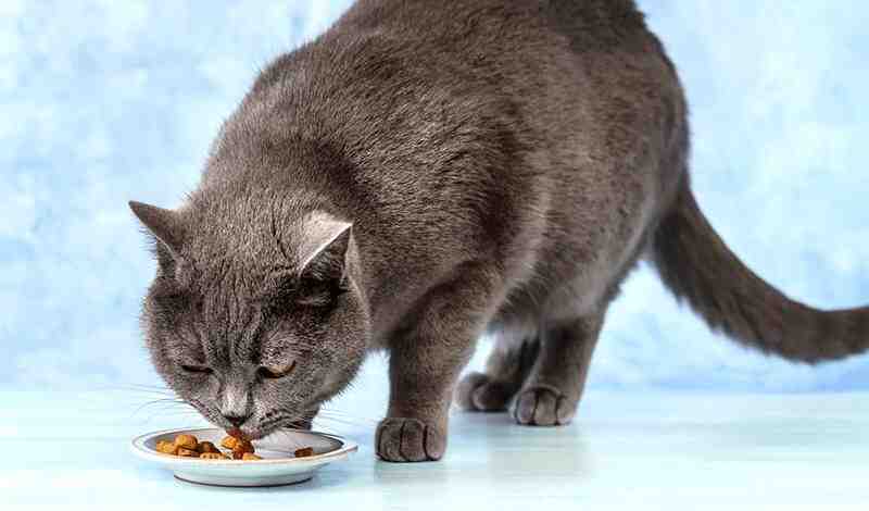 Waggers Semi Moist Cat Food